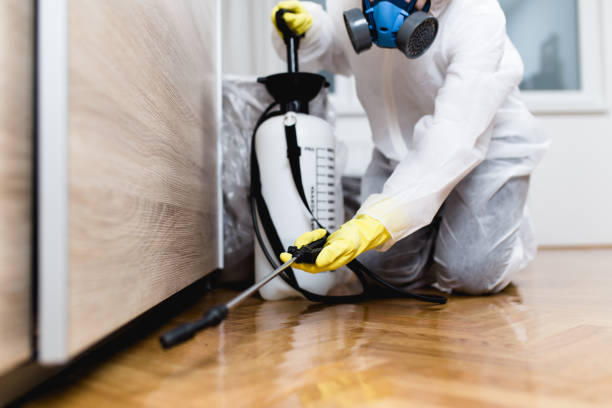 Best Pest Removal Services  in Plum Grove, TX