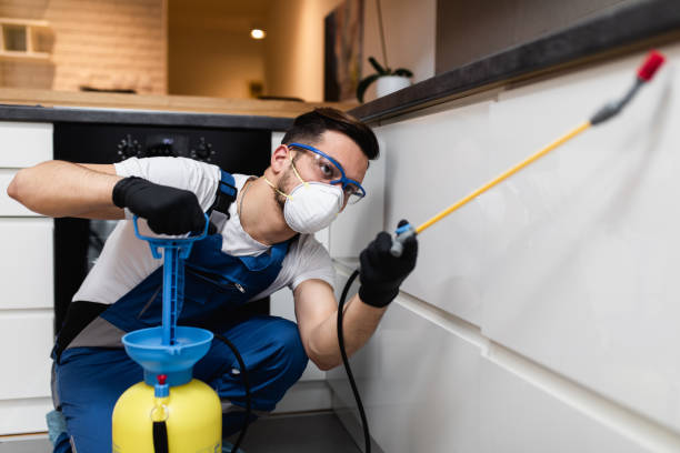 Best Commercial Pest Control Services  in Plum Grove, TX