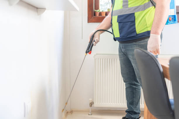 Best Local Pest Control Services  in Plum Grove, TX
